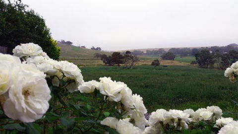 A Way To Relax At Welcome Springs Country Stays - Great Ocean Road Tourism 8